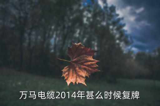 萬(wàn)馬股份什么時(shí)候復(fù)牌，000560各位大神知道啥時(shí)候復(fù)牌