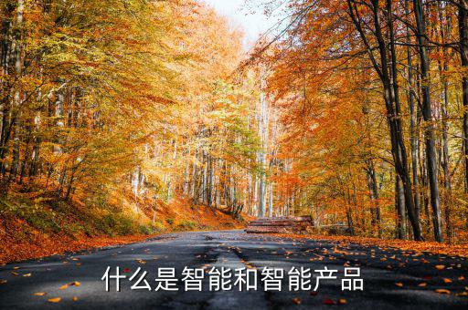 什么是智能產(chǎn)品，智能產(chǎn)品數(shù)碼產(chǎn)品電子產(chǎn)品它們有什么區(qū)別
