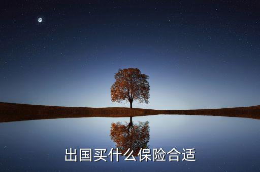 什么保險長期在國外有用，什么保險有去國外玩的保障啊