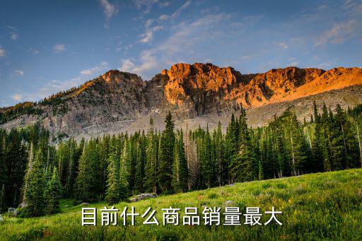 什么消費(fèi)品最大市場(chǎng)，目前什么商品銷(xiāo)量最大