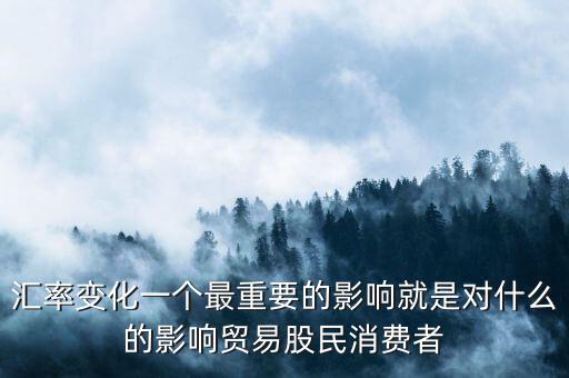 匯率變化一個(gè)最重要的影響就是對什么的影響貿(mào)易股民消費(fèi)者