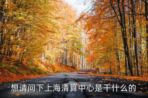 上海清算所做什么，想請問下上海清算中心是干什么的