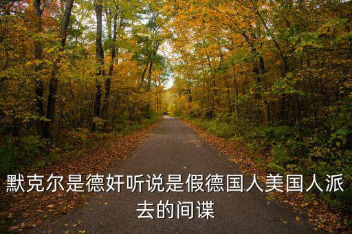 默克爾賭什么，默克爾是德奸聽說是假德國(guó)人美國(guó)人派去的間諜