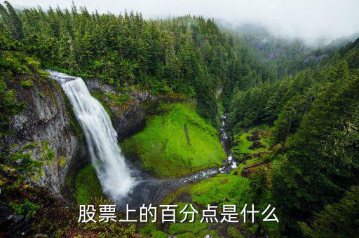 股份中的百分點是什么，在股票中百分點是指的什么