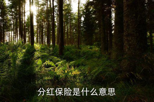 什么是分紅保險，分紅保險是什么意思