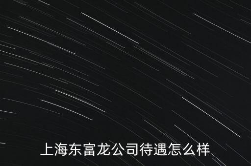 東富龍是做什么的，東富龍股票屬于什么概念