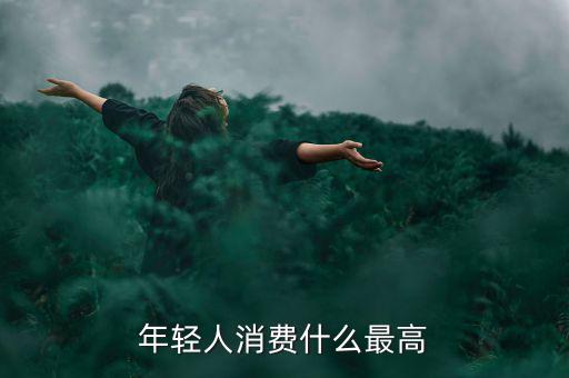 年輕人消費最多的什么，年輕人消費什么最高
