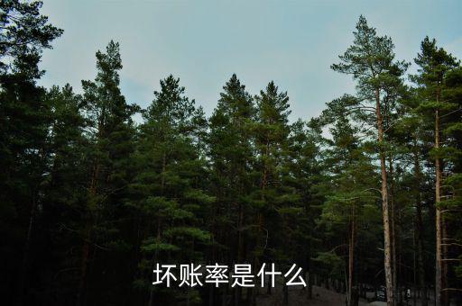 什么是壞賬率，壞賬率