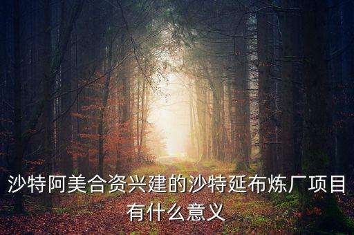 中沙延布煉廠項目是什么，中國石化首個海外煉化項目中沙特延布煉廠項目投資多少錢