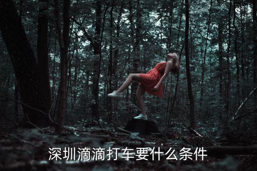 深圳交通滴滴有什么政策，申請深圳滴滴對司機有些什么要求嗎