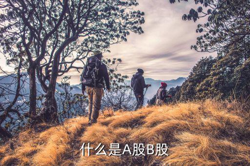 什么是a股什么是b股，什么是A股什么是B股