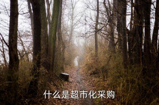 超市化采購(gòu)什么意思，什么是超市化采購(gòu)