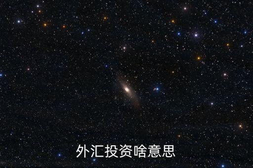 外匯融資是什么意思，外匯投資啥意思
