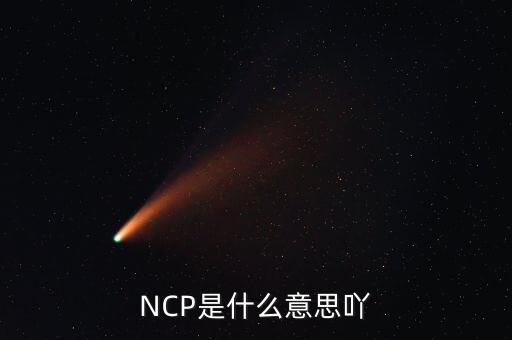 可比企業(yè)ncp是什么簡稱，NCP是什么意思吖