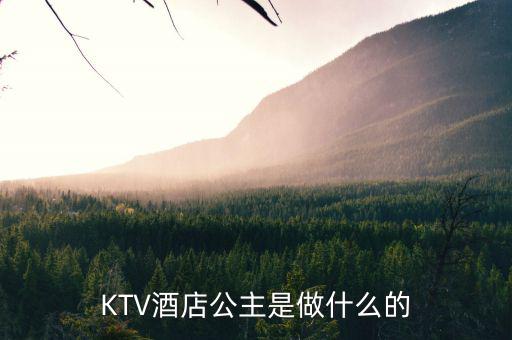 酒店出臺(tái)是干什么的，KTV酒店公主是做什么的