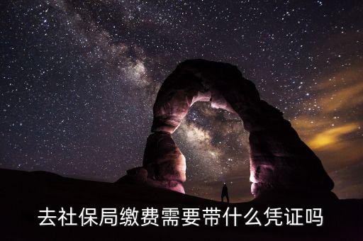 去社保局申報年度繳費工資需要帶什么證件，去社保局繳費需要帶什么憑證嗎