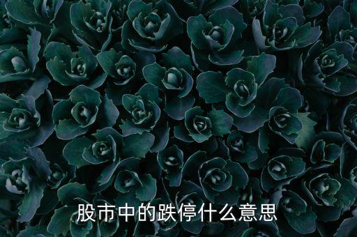 跌停是什么意思，跌停是什么意思
