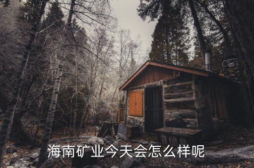 海南礦業(yè)在什么時(shí)候上市，說(shuō)說(shuō)海南礦業(yè)今天還會(huì)繼續(xù)大漲嗎
