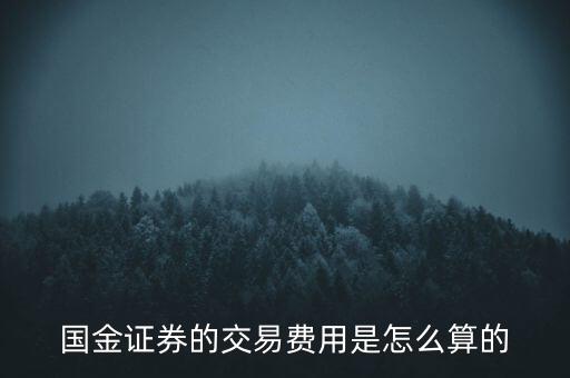 國金融資開倉費用是什么，國金證券的交易費用是怎么算的