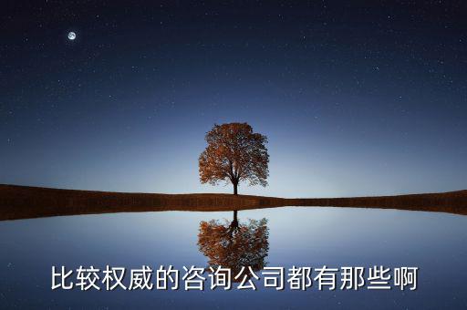 艾瑞和易觀是什么公司，易觀國際有幾個(gè)子公司