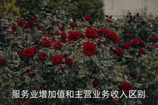 服務業(yè)增加值和主營業(yè)務收入?yún)^(qū)別