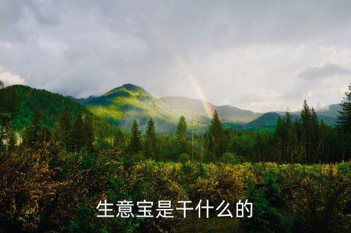生意寶屬于什么版塊，生意寶聽(tīng)說(shuō)過(guò)嗎聽(tīng)說(shuō)能快速賺錢(qián)是真的假的