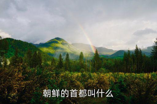 朝鮮總統(tǒng)府叫什么，朝鮮元首有專門的住所嗎有的話在哪