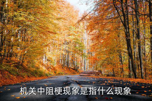 什么是中阻梗與最后一公里，無(wú)線網(wǎng)絡(luò)中最后一公里是什么意思