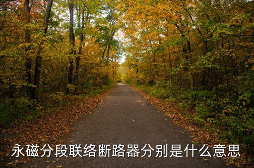什么是永磁開關(guān)，什么是永磁