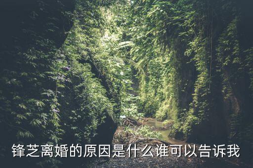 胡芝容為什么離婚，鋒芝戀離婚原因是為什么
