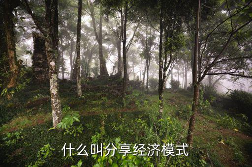 什么是分享經(jīng)濟，通俗講什么是分享經(jīng)濟