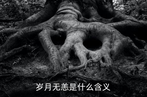 aapl是什么意思，PRQ是什么意思
