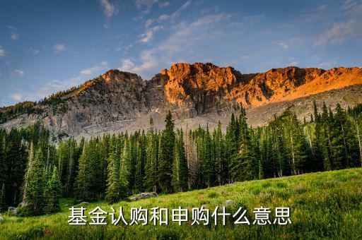 基金認(rèn)申購什么意思，基金中的認(rèn)購是什么意思