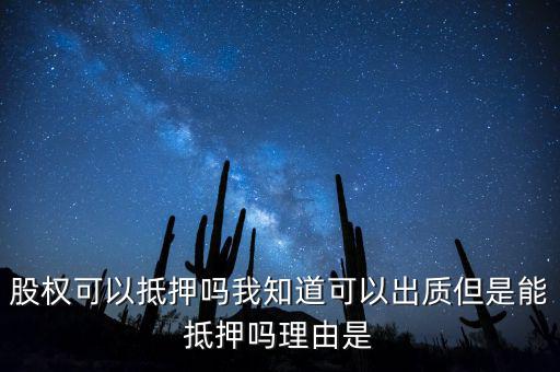 股權(quán)為什么不能抵押，股權(quán)可不可以進行抵押