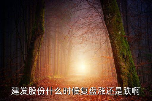 002719股什么時(shí)候復(fù)盤，000719什么時(shí)候復(fù)牌啊