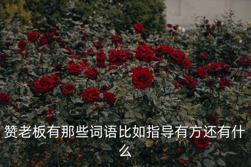 什么成語能夠形容房地產(chǎn)老板，贊老板有那些詞語比如指導(dǎo)有方還有什么