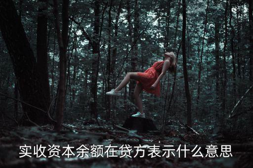 什么是資本余額，什么是資本性資金誰知道請(qǐng)告訴我謝謝