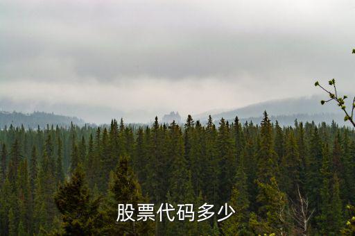 b股代碼以什么開頭，a股和b股代碼怎樣區(qū)分