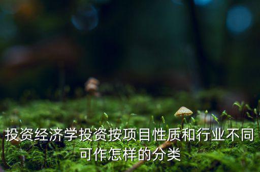 什么是公共消費性投資，如何理解消費投資