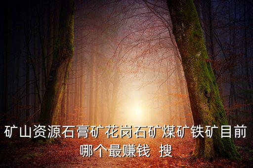 鐵礦為什么不掙錢(qián)，在內(nèi)蒙古搞鐵礦賺錢(qián)嗎