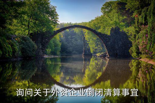 沈陽(yáng)投資公司跑路市政府什么解決，詢問(wèn)關(guān)于外資企業(yè)倒閉清算事宜