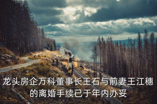 王石什么時(shí)候離婚的，龍頭房企萬(wàn)科董事長(zhǎng)王石與前妻王江穗的離婚手續(xù)已于年內(nèi)辦妥