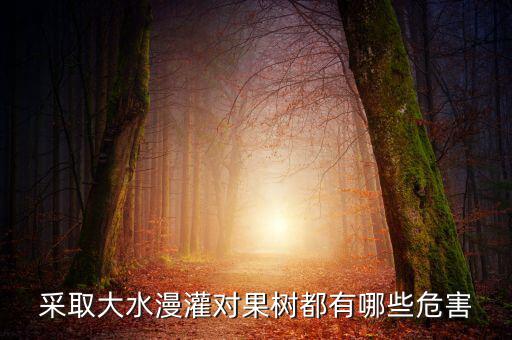 廣西地區(qū)大水漫灌導致什么，在干旱半干旱地區(qū)采取大水漫灌的灌溉方式可能會導致土地鹽漬化
