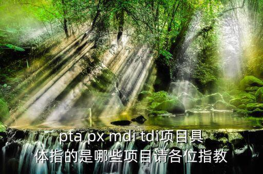 pta項目是什么，pta px mdi tdi項目具體指的是哪些項目請各位指教