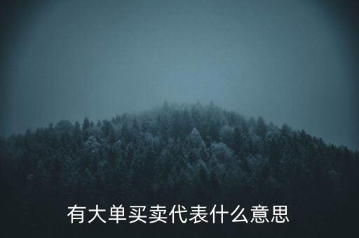 在買5成交有大單是什么意思，股票中大單是什么意思