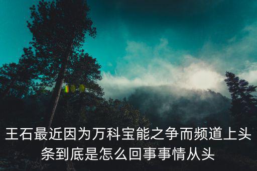 王石現(xiàn)在忙什么，王石現(xiàn)在在干什么