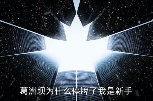 葛洲壩為什么停牌，葛洲壩為什么8月21日停牌
