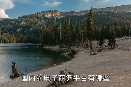 中俄電子商務(wù)用什么平臺(tái)，俄羅斯的電子商務(wù)網(wǎng)站哪個(gè)好