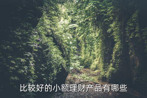 有什么小額理財(cái)產(chǎn)品，小額理財(cái)投資產(chǎn)品有哪些