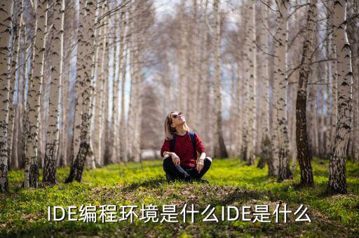 tltro是什么，虛擬內(nèi)存是什么玩意